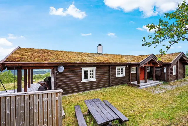 Pen fritidsbolig fra Røroshytta. Fantastisk utsikt. Nær alpinanlegg. Flott skigard rundt nesten hele eiendommen. — bilde 11