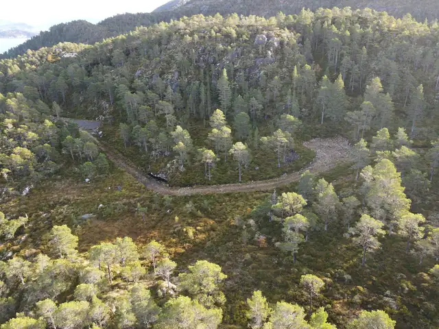 Fantastiske fritidstomter uten byggeklausul - Vakker fjordutsikt| Vei/vann/strøm/fibernett| Nydelig hyttefelt| TOMT 19 — bilde 3