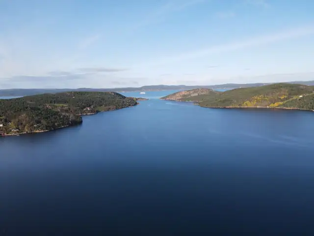 Fantastiske fritidstomter uten byggeklausul - Vakker fjordutsikt| Vei/vann/strøm/fibernett| Nydelig hyttefelt| TOMT 19 — bilde 8