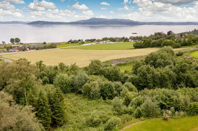 Spacious plot of approx. 1 mål (decare) with fjord views - Lovely sun| Close to school and forest trails| No building clause — image 7