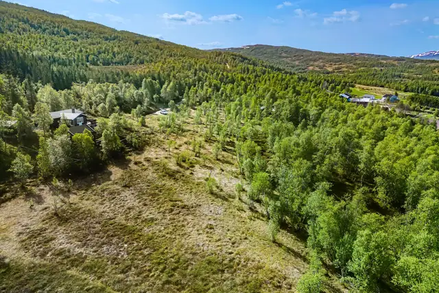 Hessdalen - Fritidstomt med umiddelbar nærhet til flott turterreng - 1 214 kvm - Flott utsikt og gode solforhold — bilde 4