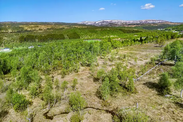 Hessdalen - Fritidstomt med umiddelbar nærhet til flott turterreng - 1 214 kvm - Flott utsikt og gode solforhold — bilde 7