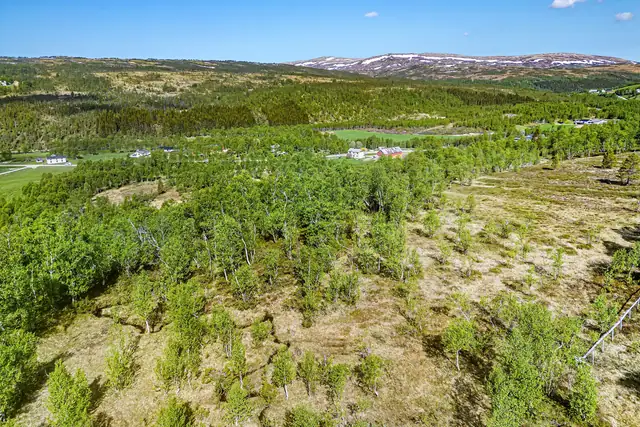Hessdalen - Fritidstomt med umiddelbar nærhet til flott turterreng - 1 214 kvm - Flott utsikt og gode solforhold — bilde 8