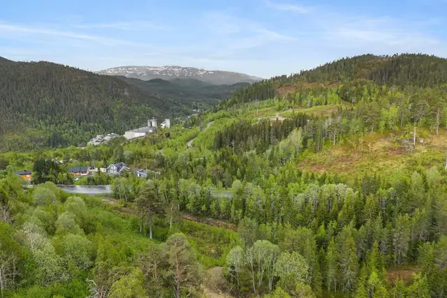 Maksimal utnyttelsesgrad er satt til 30% BYA og en gesimshøyde på 3 meter.
