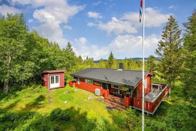 Brassetveien 94