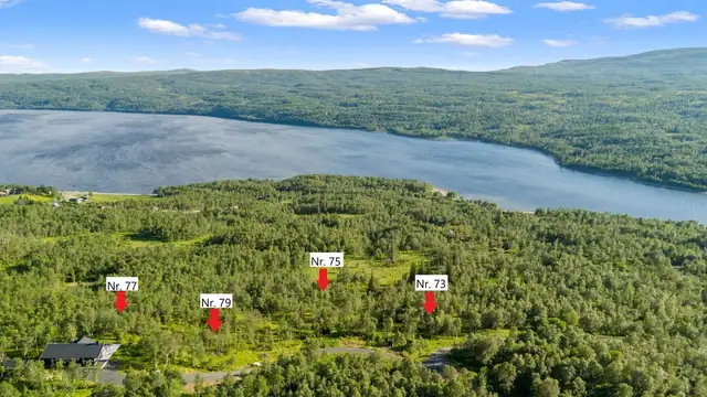 Oversikt over tomtene. Merkingen er kun ment som et estimat. Feil kan forekomme. Se vedlagt matrikkelbrev for eksakt plassering av tomtene.