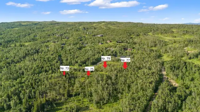 Oversikt over tomtene. Merkingen er kun ment som et estimat. Feil kan forekomme. Se vedlagt matrikkelbrev for eksakt plassering av tomtene.