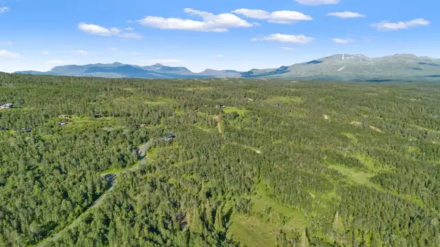 For den jaktglade er det også nærhet til flotte jaktterreng.