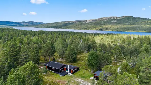 Tomasveien 2