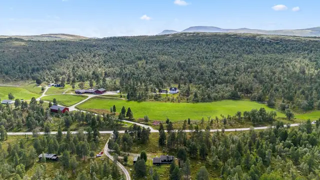 Solrik og sjarmerende hytte nær fiskevann og fjell. Innlagt strøm og vann. Bilvei frem. Flott beliggenhet! — bilde 3