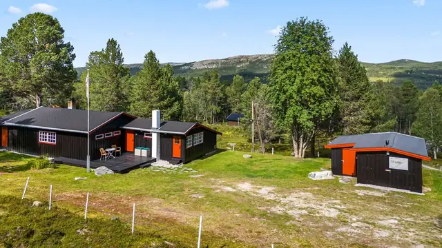 Solrik og sjarmerende hytte nær fiskevann og fjell. Innlagt strøm og vann. Bilvei frem. Flott beliggenhet! — bilde 7