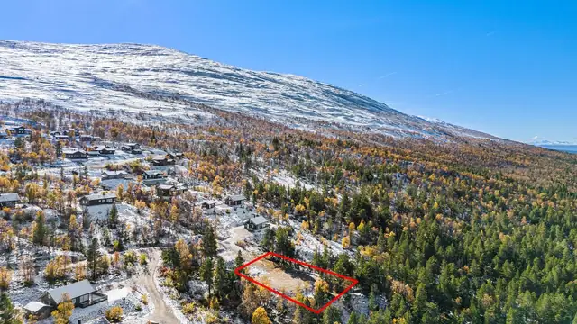 Røsslyngveien 19