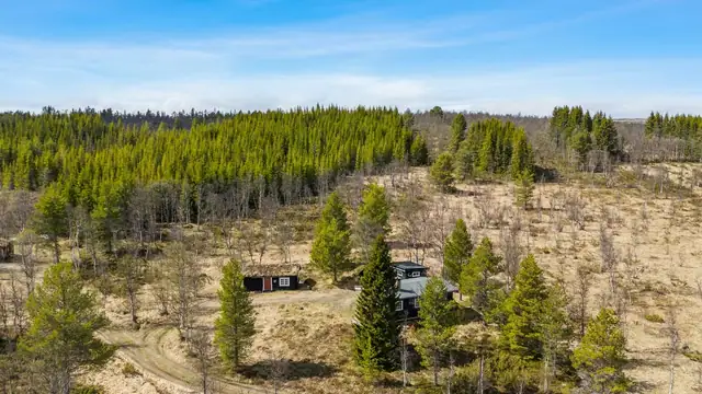 Stølen 8
