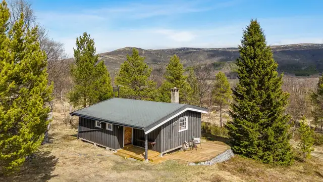 Cosy cabin cluster with cabin, annexe and outbuilding - 2 bedrooms + beds in the annexe - Electricity - Year-round road — image 3
