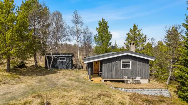 Cosy cabin cluster with cabin, annexe and outbuilding - 2 bedrooms + beds in the annexe - Electricity - Year-round road — image 5