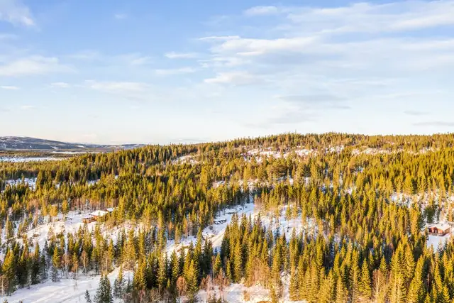 4 lovely sunny cabin plots by beautiful Østrungen - Road, water and power possible - Beautiful views - Good sun — image 5
