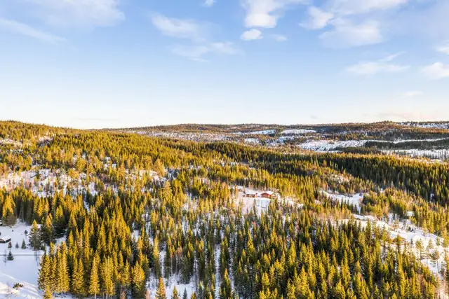 4 lovely sunny cabin plots by beautiful Østrungen - Road, water and power possible - Beautiful views - Good sun — image 6