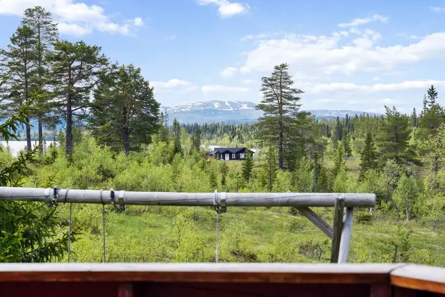 Flott utsikt fra terrassen.
