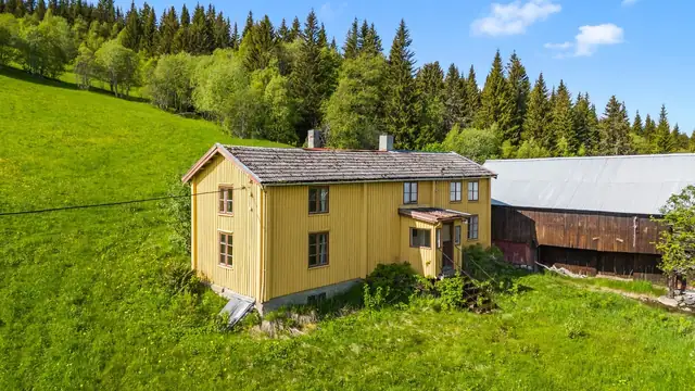 Meget fin beliggenhet med kort avstand til skoler, butikk, Ålen skisenter og Gaula elva. — bilde 11