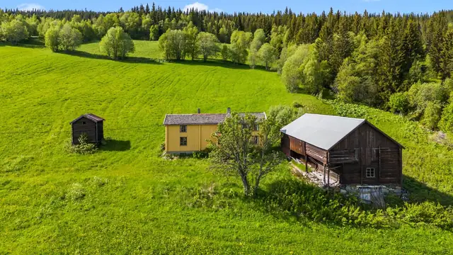 Meget fin beliggenhet med kort avstand til skoler, butikk, Ålen skisenter og Gaula elva. — bilde 5