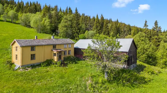Meget fin beliggenhet med kort avstand til skoler, butikk, Ålen skisenter og Gaula elva. — bilde 7