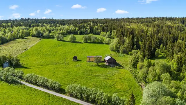 Meget fin beliggenhet med kort avstand til skoler, butikk, Ålen skisenter og Gaula elva. — bilde 8