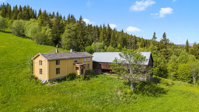 Meget fin beliggenhet med kort avstand til skoler, butikk, Ålen skisenter og Gaula elva. — bilde 9