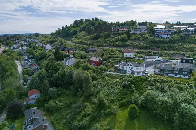 Fint grøntareal rundt tomten.
