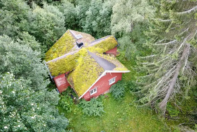 Boligen sett ovenfra - godt integrert i den naturlige omgivelsen.