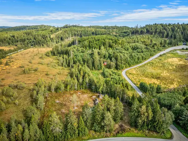 Skjermet eiendom på hele 5.214m2 tomt nært Lundåsen og Hestsjøen - solrik tomt tett på Bymarka! — bilde 7