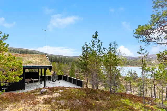 Hornsjøen