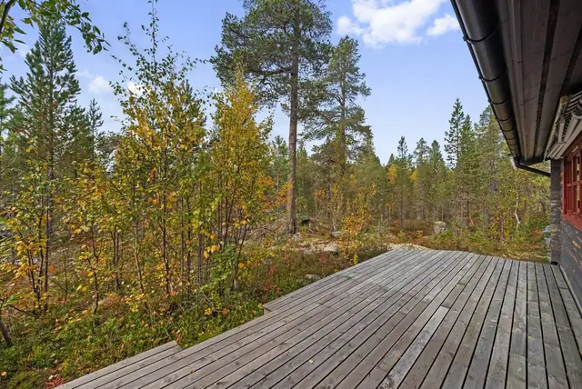 Godt vedlikeholdt lafthytte beliggende i attraktive Synnervika hytteområde ved Femunden. Båtplass. — bilde 8
