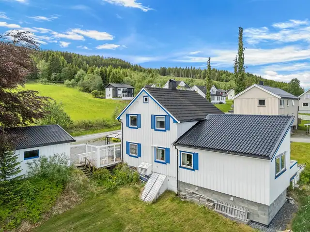 Skrå-luke og dør ned inn til kjelleren