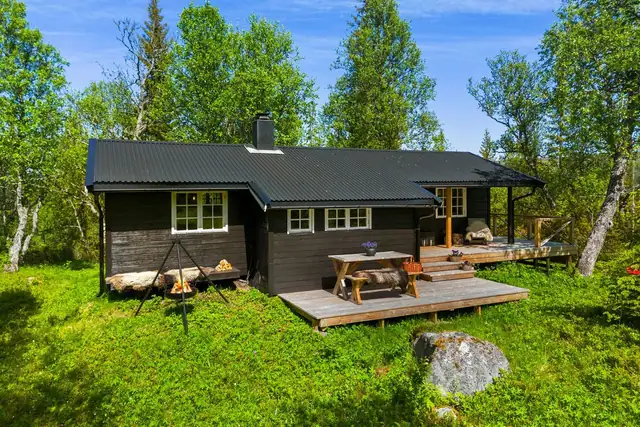 Grønlivegen 65