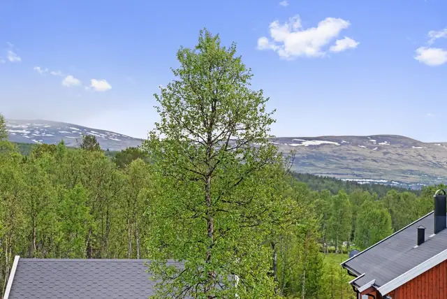 Welcome to Malenaveien 20, an attractive cabin in a sought-after spot at Hånesåsen, approx. 4.5 km from Røros centre. — image 11