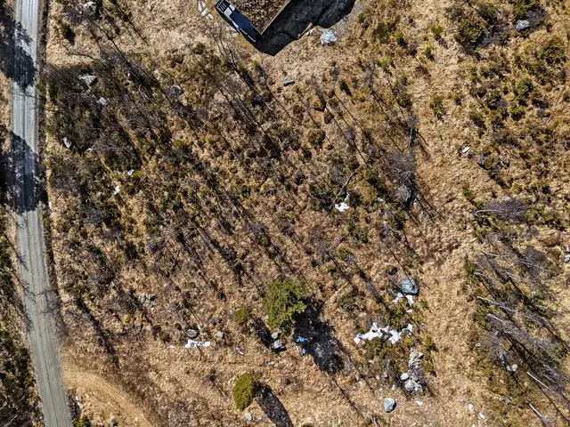Kveldsbete cabin area - Generous cabin plot of 2.2 mål (decares) – in Røros' sought-after cabin area at Sundet — image 12