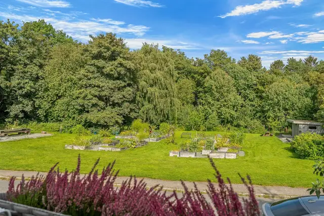 Like utenfor er det en trivelig kolonihage hvor du kan plante dine egne blomster og urter.