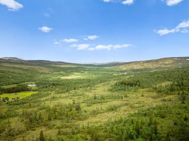 Fin fritidseiendom beliggende i vakkert terreng med gode tur-, fiske og jaktmuligheter! — bilde 3