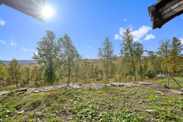 Skap din egen hyttedrøm på Bukkvollan. Råbygg med rom for personlige valg. Planlagt 4 soverom. Gode solforhold. — bilde 9