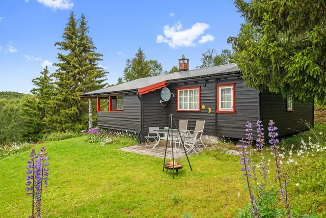 En sjarmerende fritidsbolig med kort vei til Røros og utsikt mot Storhittersjøen! Selges møblert! — bilde 9