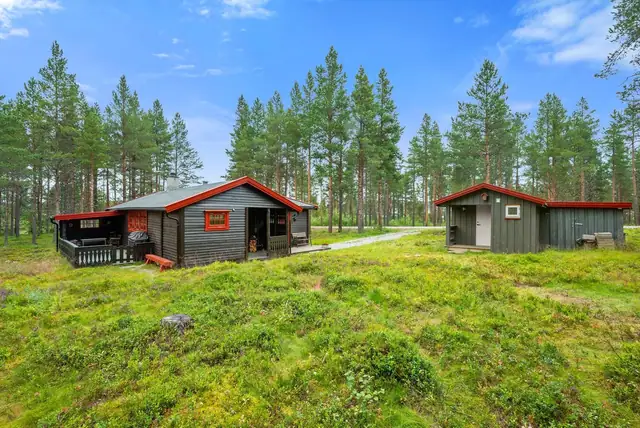 Sjåfram 32