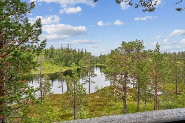 Velkommen til Haftortjennvegen 302! En velholdt fritidseiendom med skjermet og idyllisk beliggenhet | Bilvei helt frem — bilde 4