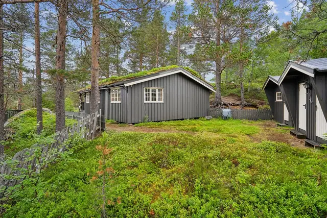 Velkommen til Haftortjennvegen 302! En velholdt fritidseiendom med skjermet og idyllisk beliggenhet | Bilvei helt frem — bilde 8