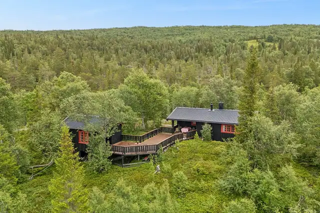 Velkommen til Kolsetvollvegen 173! Hytte med nydelig utsikt og idyllisk beliggenhet | Bilvei helt frem | Solrikt — bilde 2