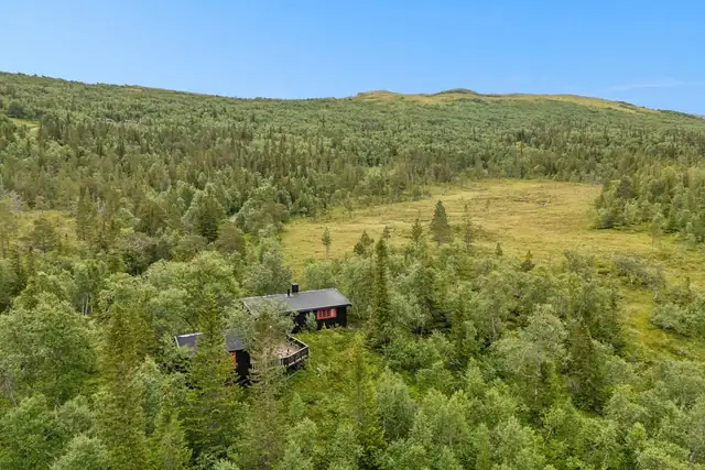 Velkommen til Kolsetvollvegen 173! Hytte med nydelig utsikt og idyllisk beliggenhet | Bilvei helt frem | Solrikt — bilde 5
