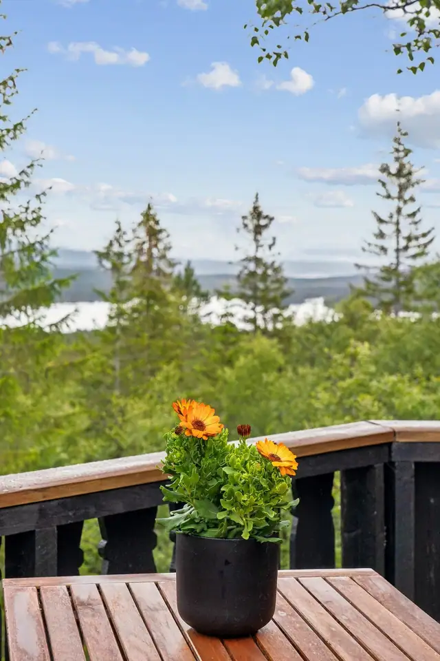 Velkommen til Kolsetvollvegen 173! Hytte med nydelig utsikt og idyllisk beliggenhet | Bilvei helt frem | Solrikt — bilde 10
