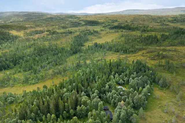 Eiendommen ligger ved skogkledde åser, omringet av vakker Selbu-natur.