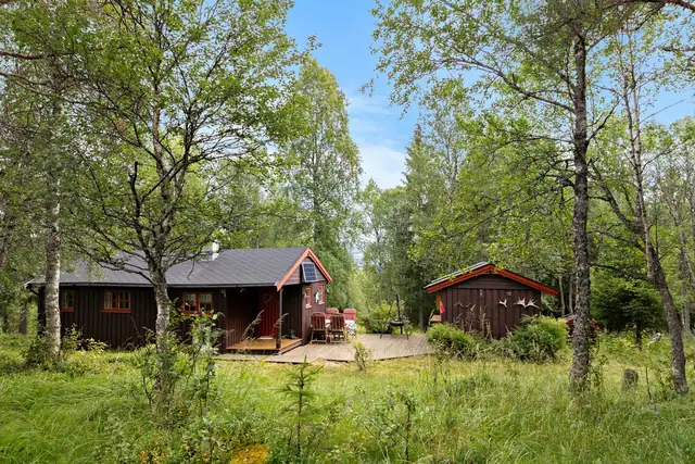 Idyllisk og frodig vegetasjon rett utenfor døra.