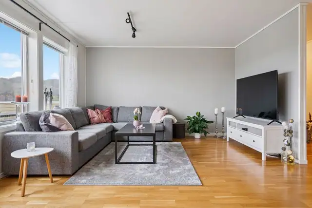 God plass til delvis adskilt tv og sofakrok.