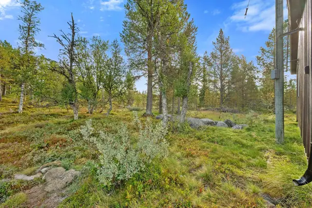 Scenic, spacious retreat close to the mountains in Engerdal. Plot of over 4 mål. Outbuilding and Moelven cabin unit. Near the Swedish border. — image 5